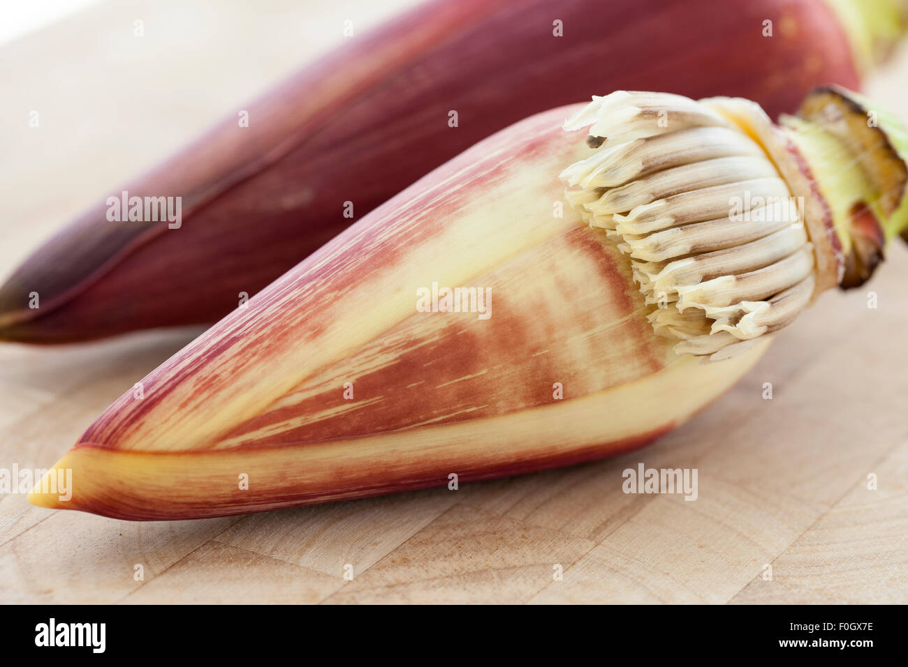 Fiore di banana o una banana cuore fotografato su una superficie in legno con finestra luce. Foto Stock