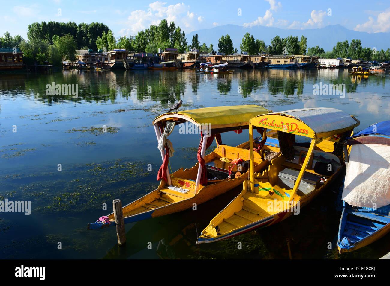 Dal lago e barche shikara nella bellissima valle del Kashmir a Srinagar Jammu e Kashmir India Foto Stock