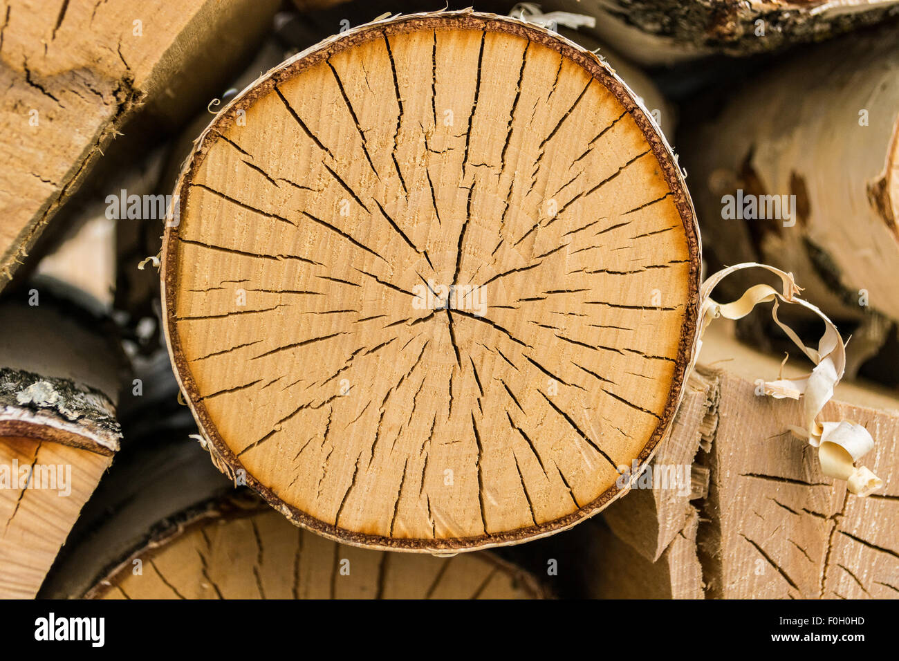 Tondo di legno nel woodpile Foto Stock