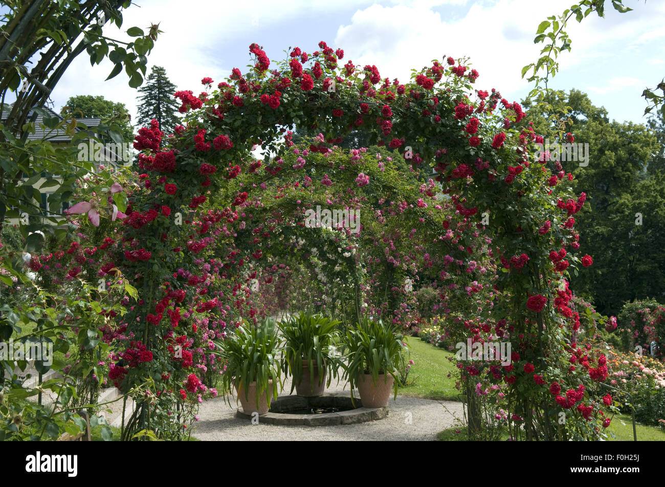 Rosengarten Beutig, Baden Baden, Foto Stock