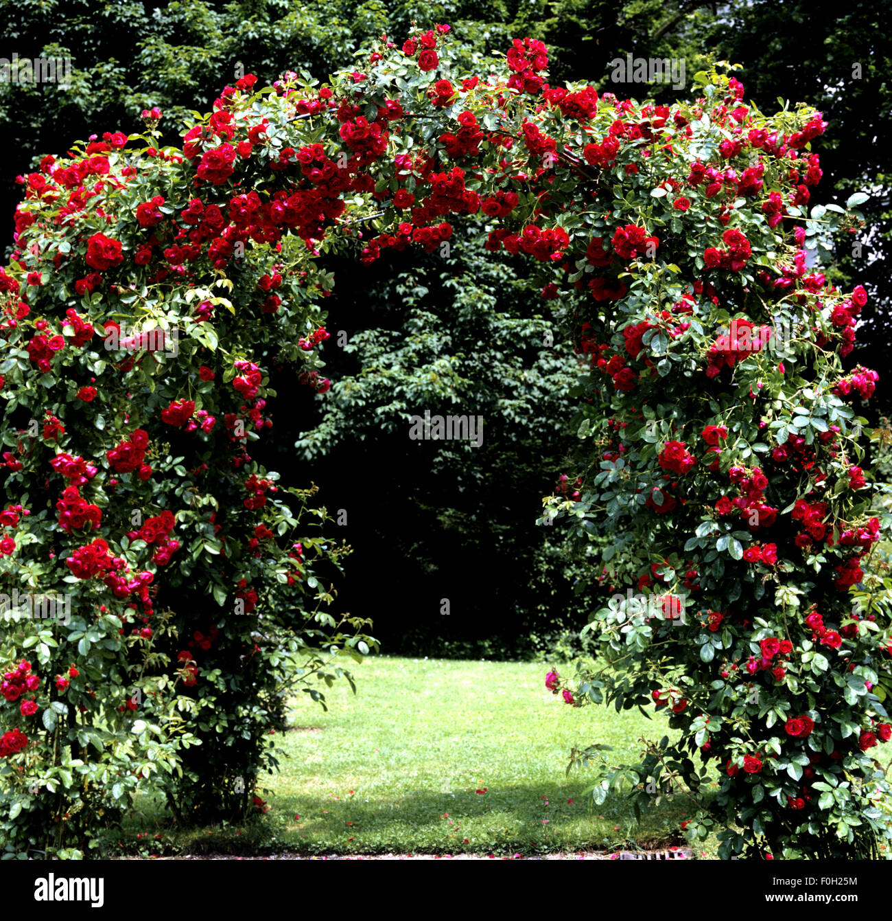 Rosengarten Beutig, Baden Baden, Foto Stock