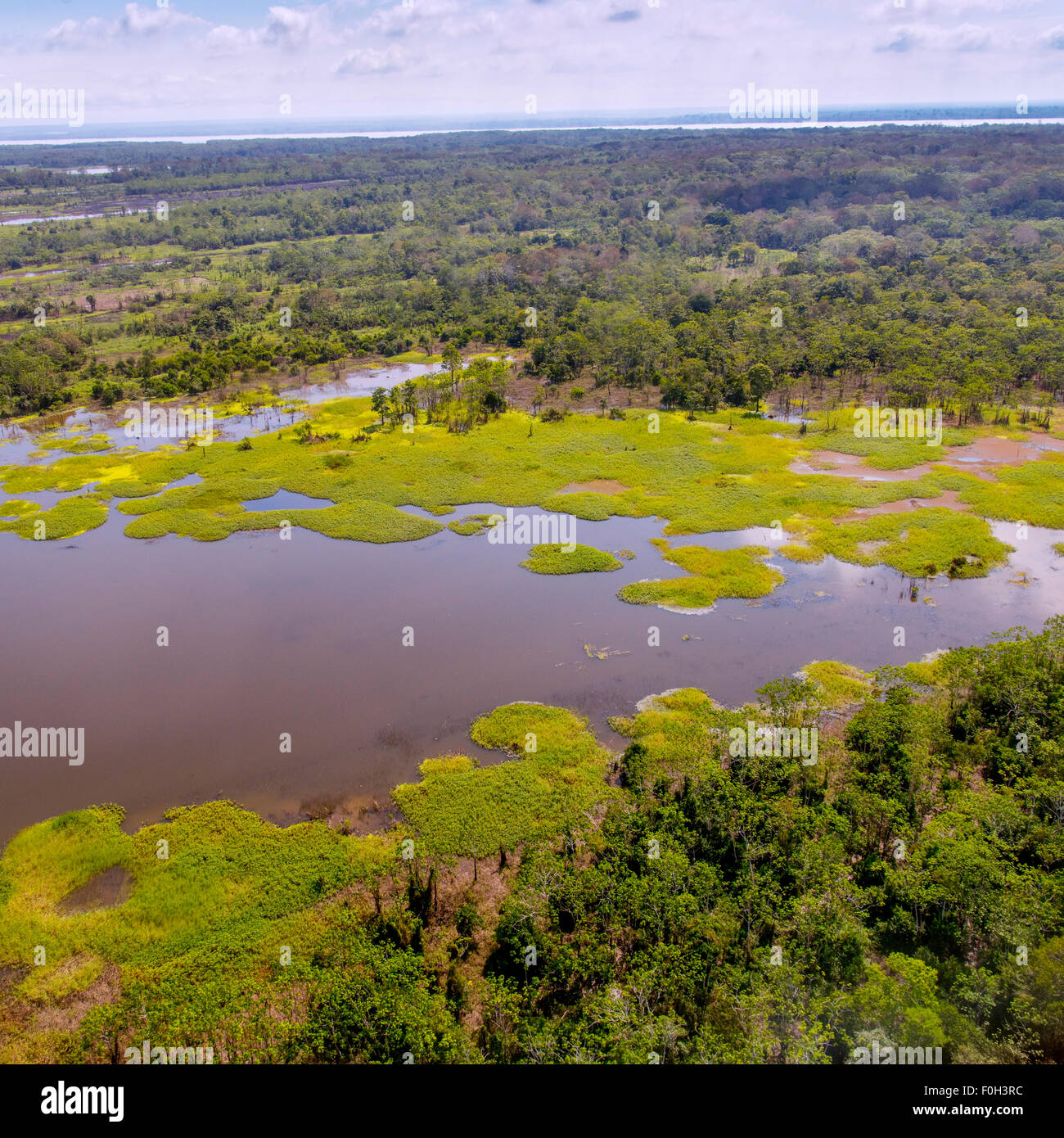 Amazon River floodplain vicino a Iquitos antenna Foto Stock