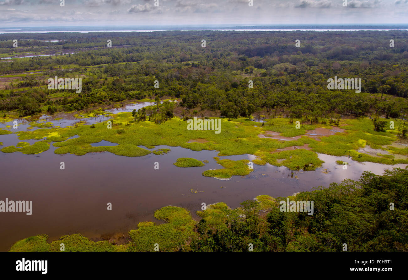 Amazon River floodplain vicino a Iquitos antenna Foto Stock