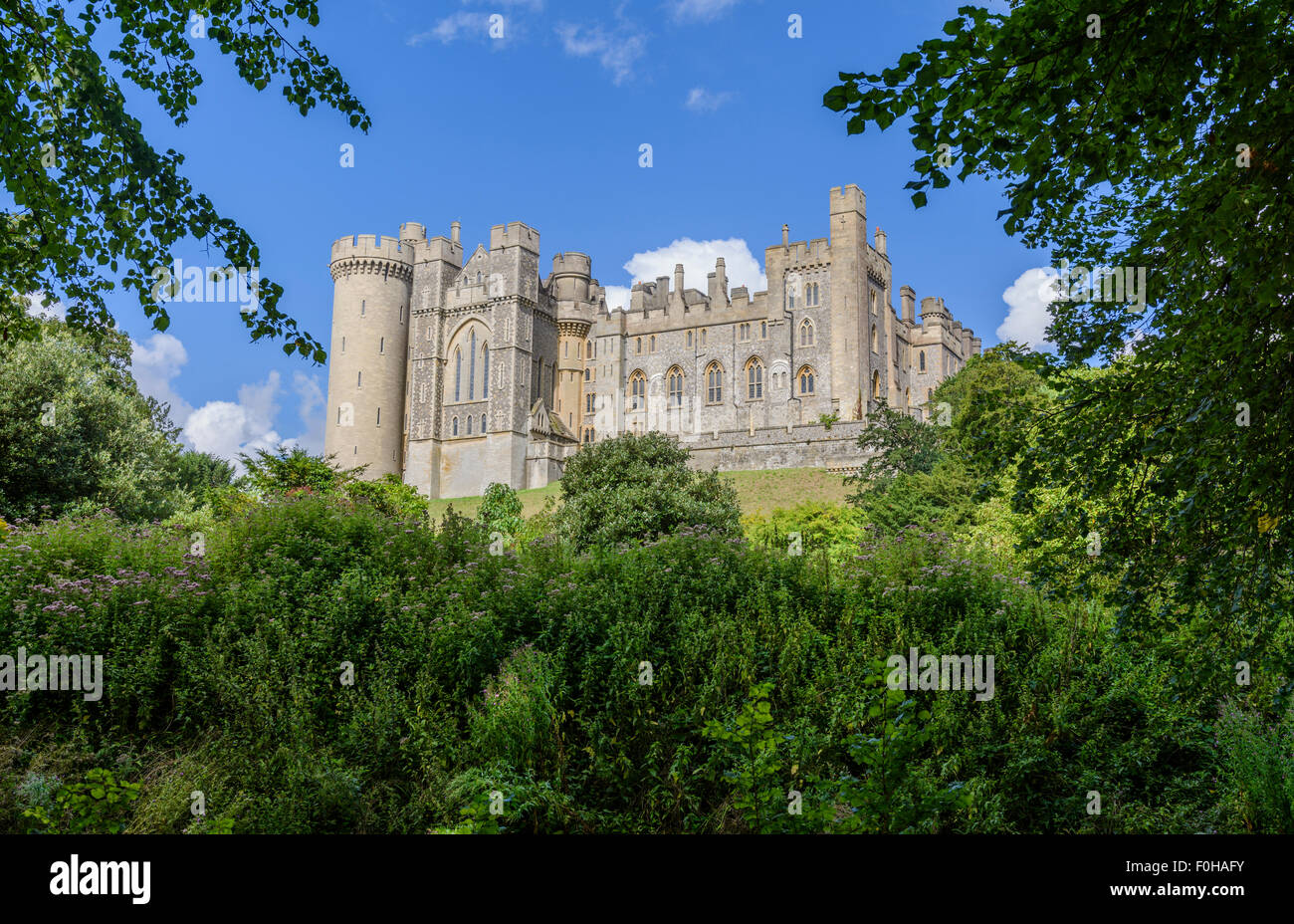 Vista del Castello di Arundel attraverso gli alberi e i cespugli in estate in Arundel, West Sussex, in Inghilterra, Regno Unito. Arundel Regno Unito. Foto Stock