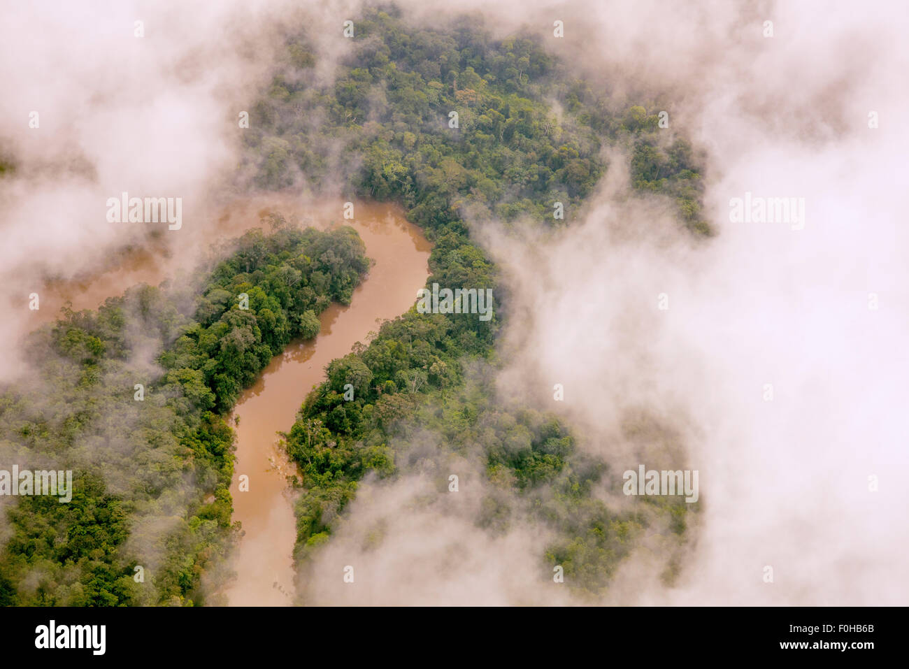 La foresta pluviale amazzonica antenna, manati fiume, vicino a Iquitos, Perù Foto Stock