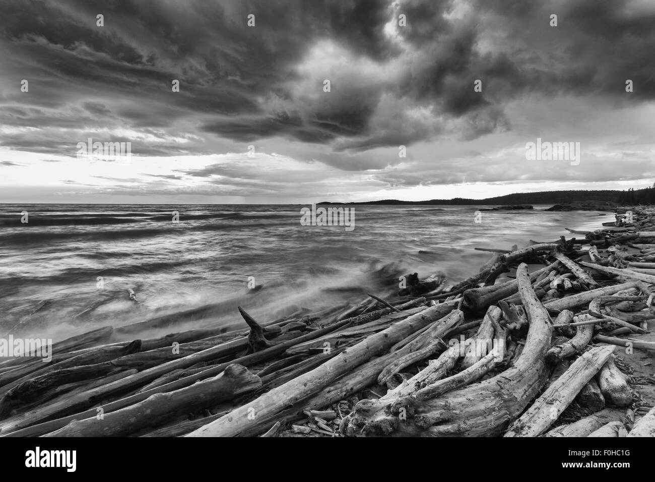 Onde spingere driftwood a riva di Lago Superior, Pukaskwa National Park, Ontario, Canada Foto Stock