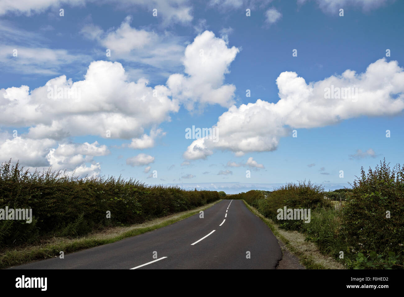 Vuoto su strada di traffico e vicino alla costa di Northumberland Craster vicino Foto Stock