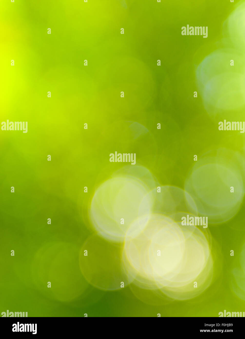 Verde naturale luce blur sullo sfondo Foto Stock