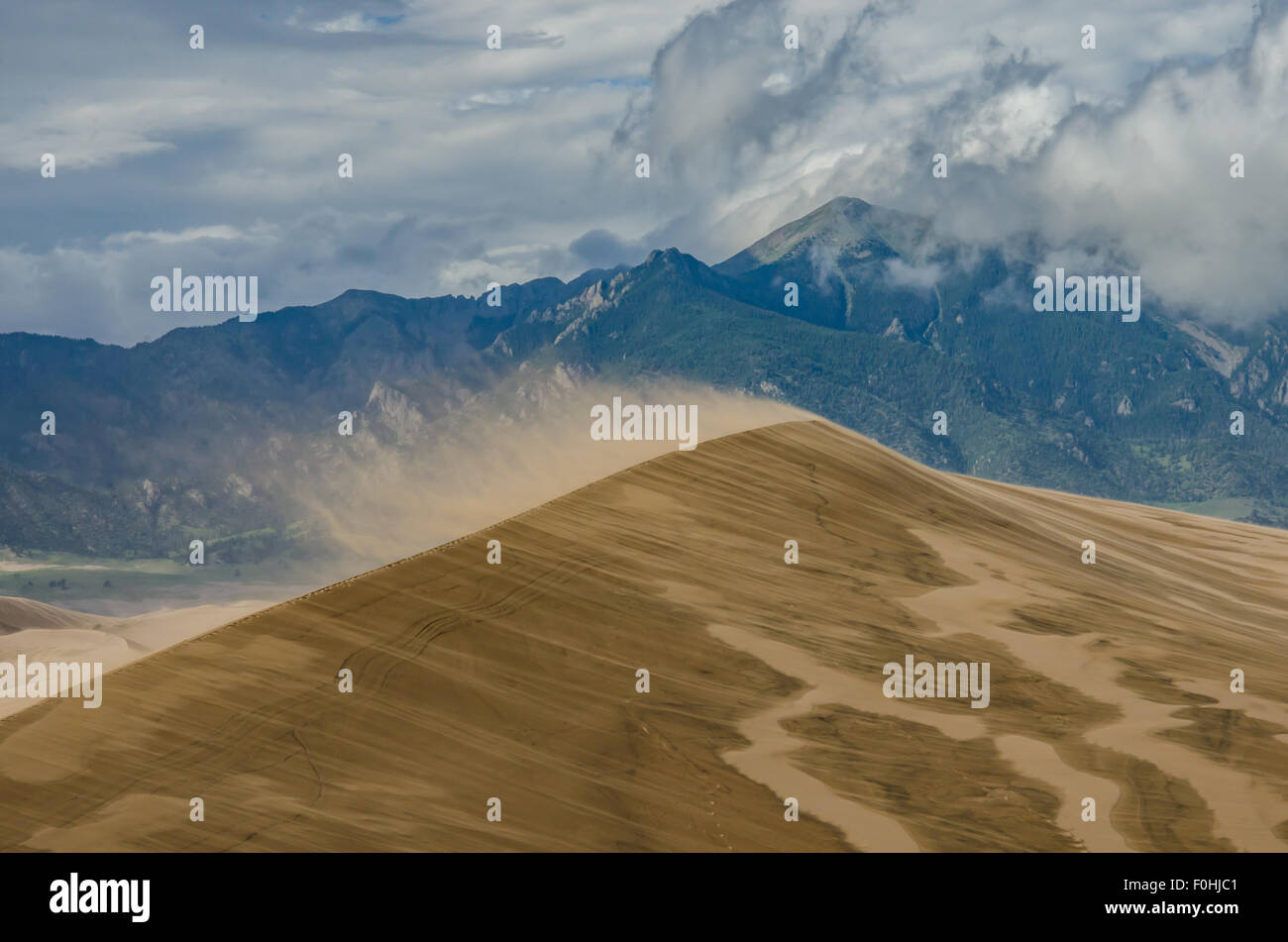Una giornata di vento produce grandi quantità di saltazione, sabbia soffiando fuori i cerchioni delle dune Foto Stock