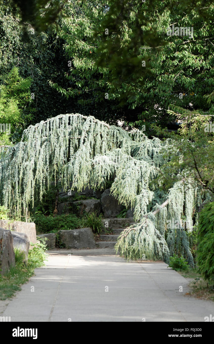 Ile de Versailles Nantes Foto Stock