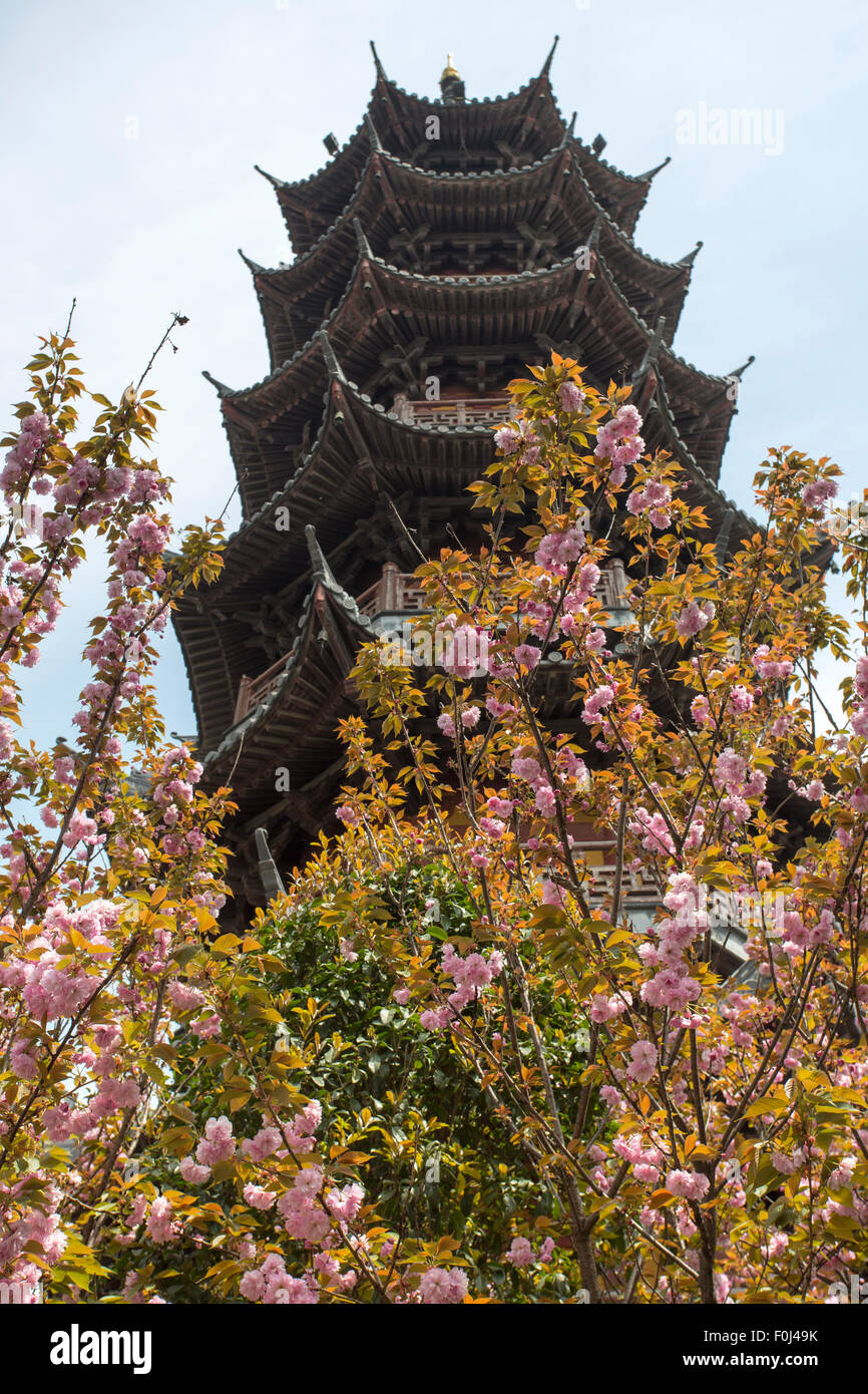 Vista di un tempio Cinese e gli alberi nella città di Shanghai in Cina, 2013. Foto Stock