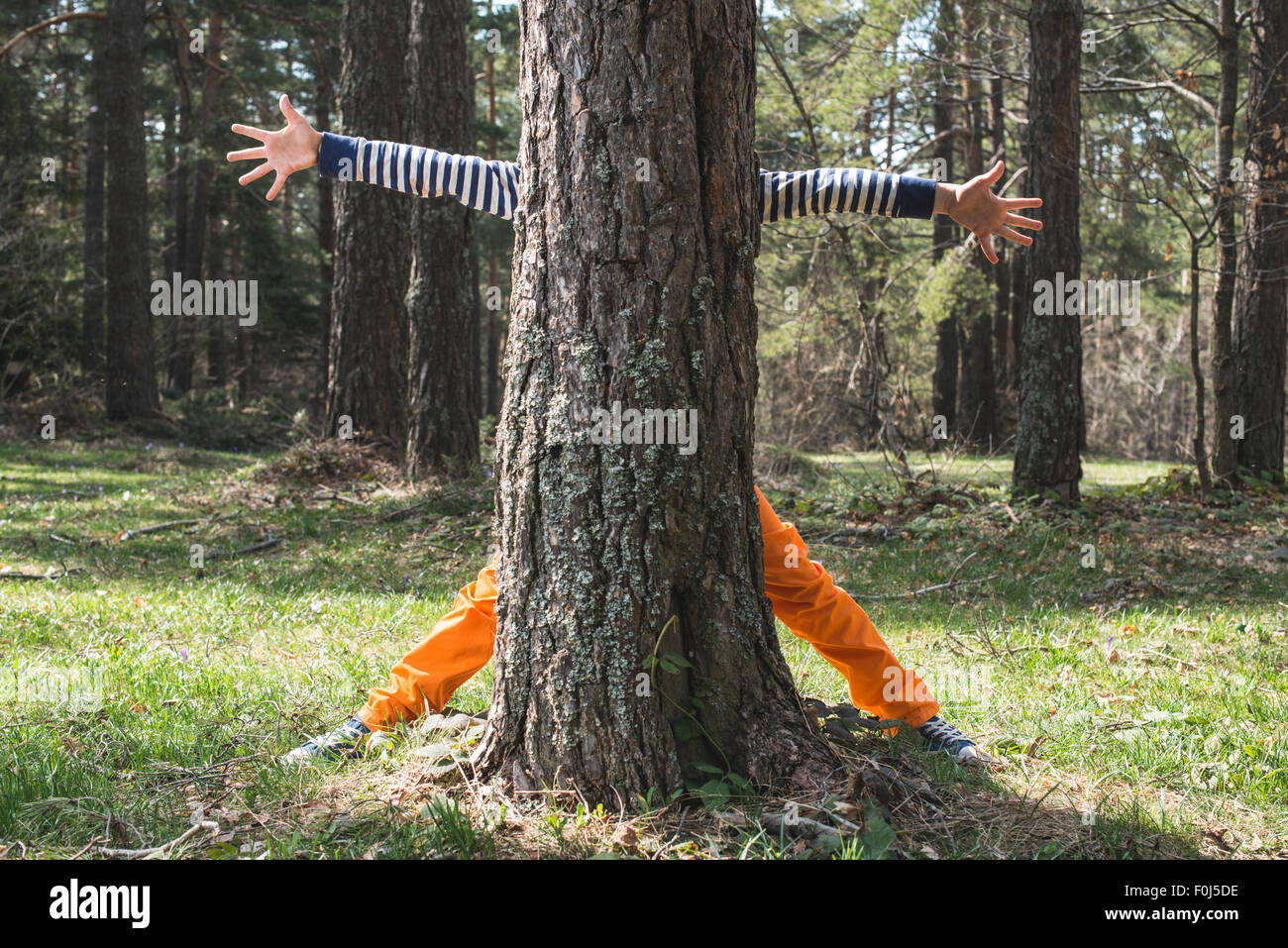 Il bambino gioca nella foresta nascosta dietro un albero Foto Stock