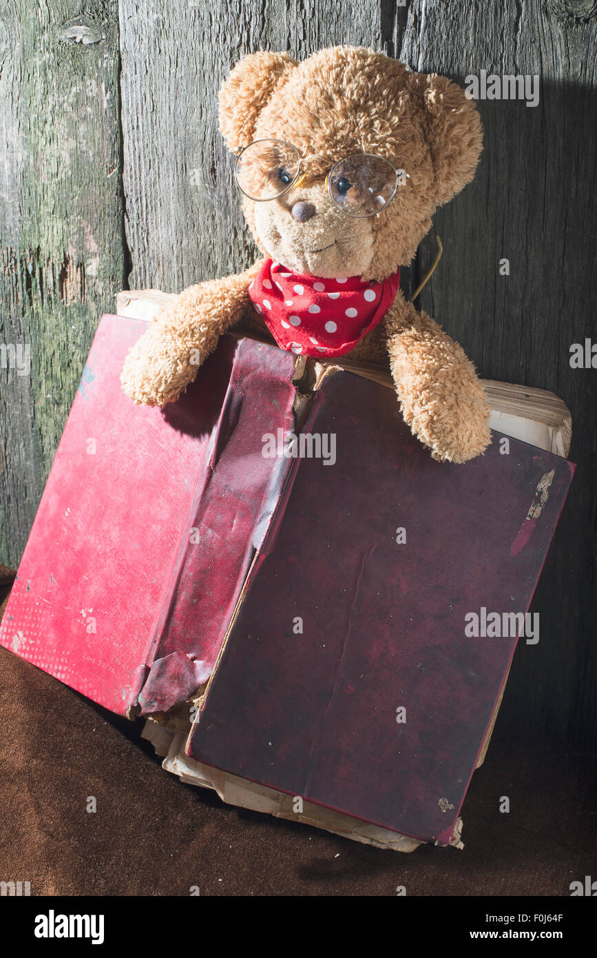 Bambini orsacchiotto con il vecchio libro vintage Foto Stock