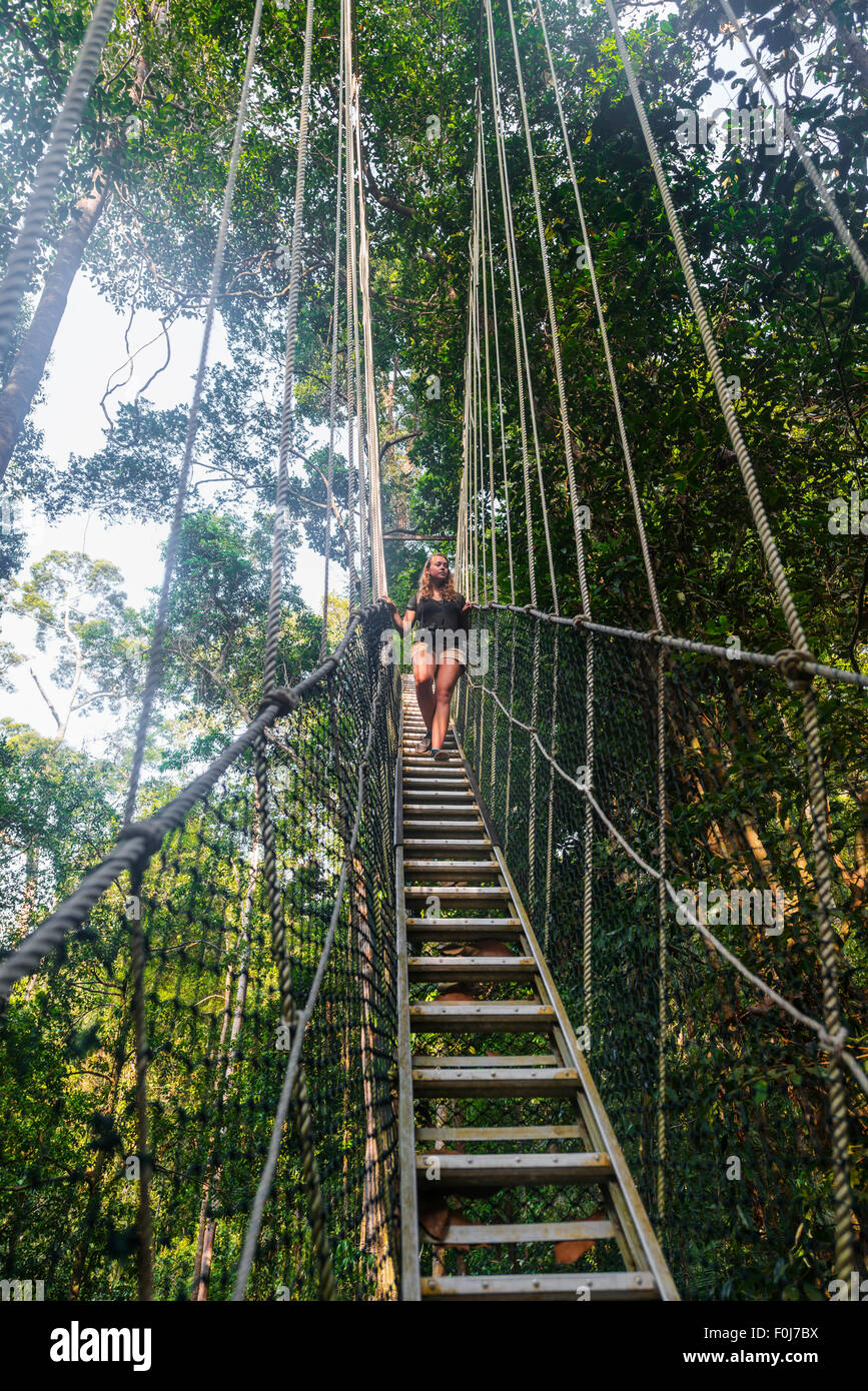 Tourist, donna sul ponte di sospensione nella giungla, Kuala Tahan, Taman Negara National Park, Malaysia Foto Stock