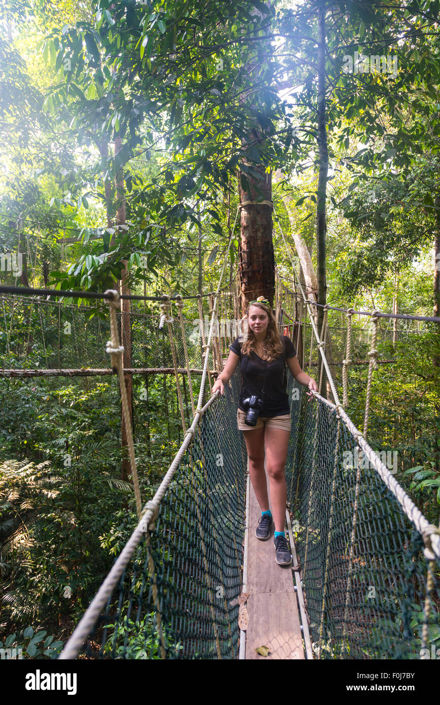 Tourist, donna sul ponte di sospensione nella giungla, Kuala Tahan, Taman Negara National Park, Malaysia Foto Stock