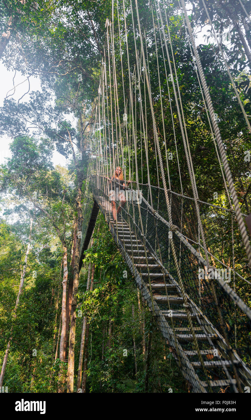 Tourist, donna sul ponte di sospensione nella giungla, Kuala Tahan, Taman Negara National Park, Malaysia Foto Stock