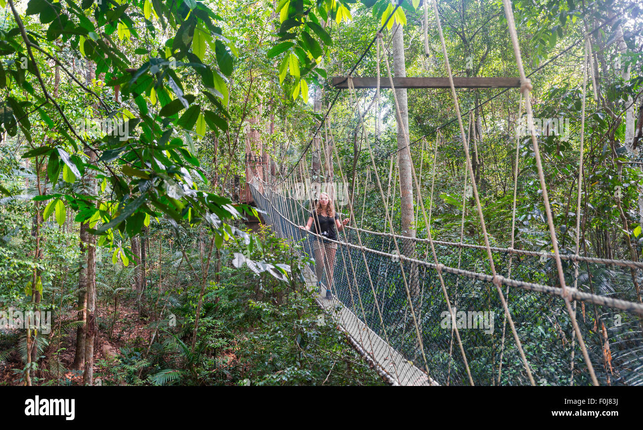 Tourist, donna sul ponte di sospensione nella giungla, Kuala Tahan, Taman Negara National Park, Malaysia Foto Stock