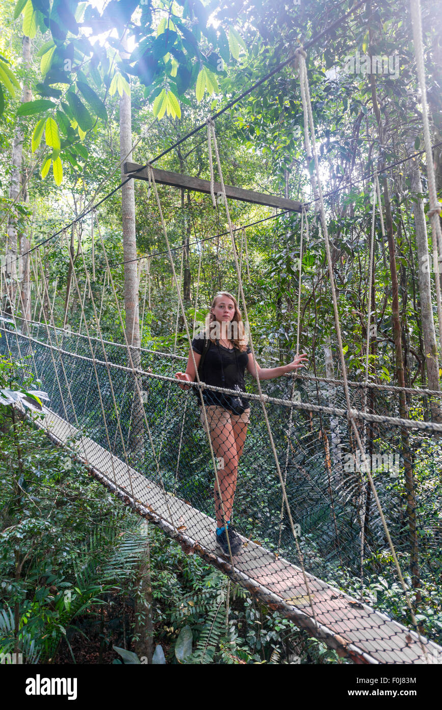 Tourist, donna sul ponte di sospensione nella giungla, Kuala Tahan, Taman Negara National Park, Malaysia Foto Stock