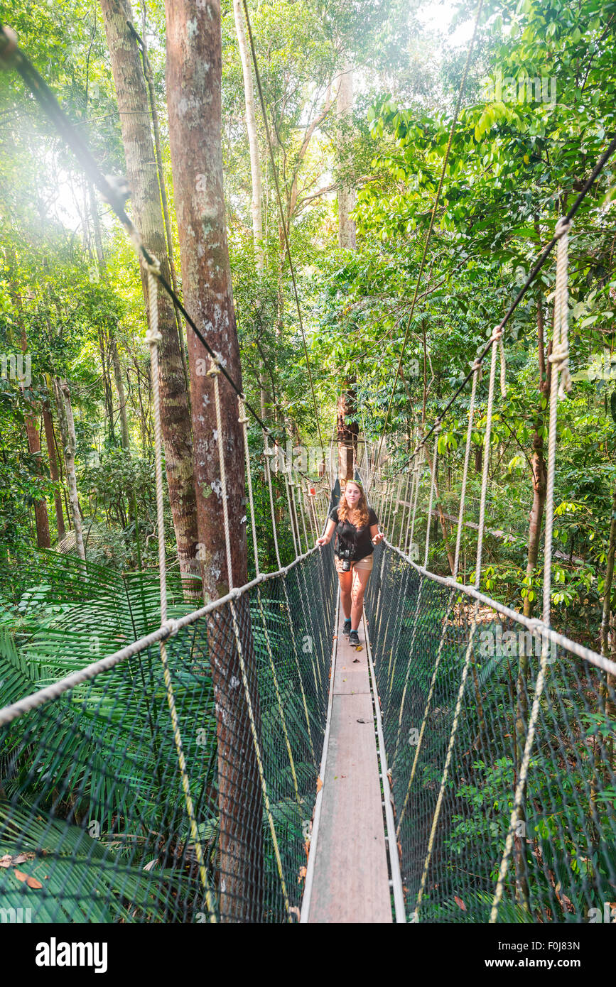 Tourist, donna sul ponte di sospensione nella giungla, Kuala Tahan, Taman Negara National Park, Malaysia Foto Stock
