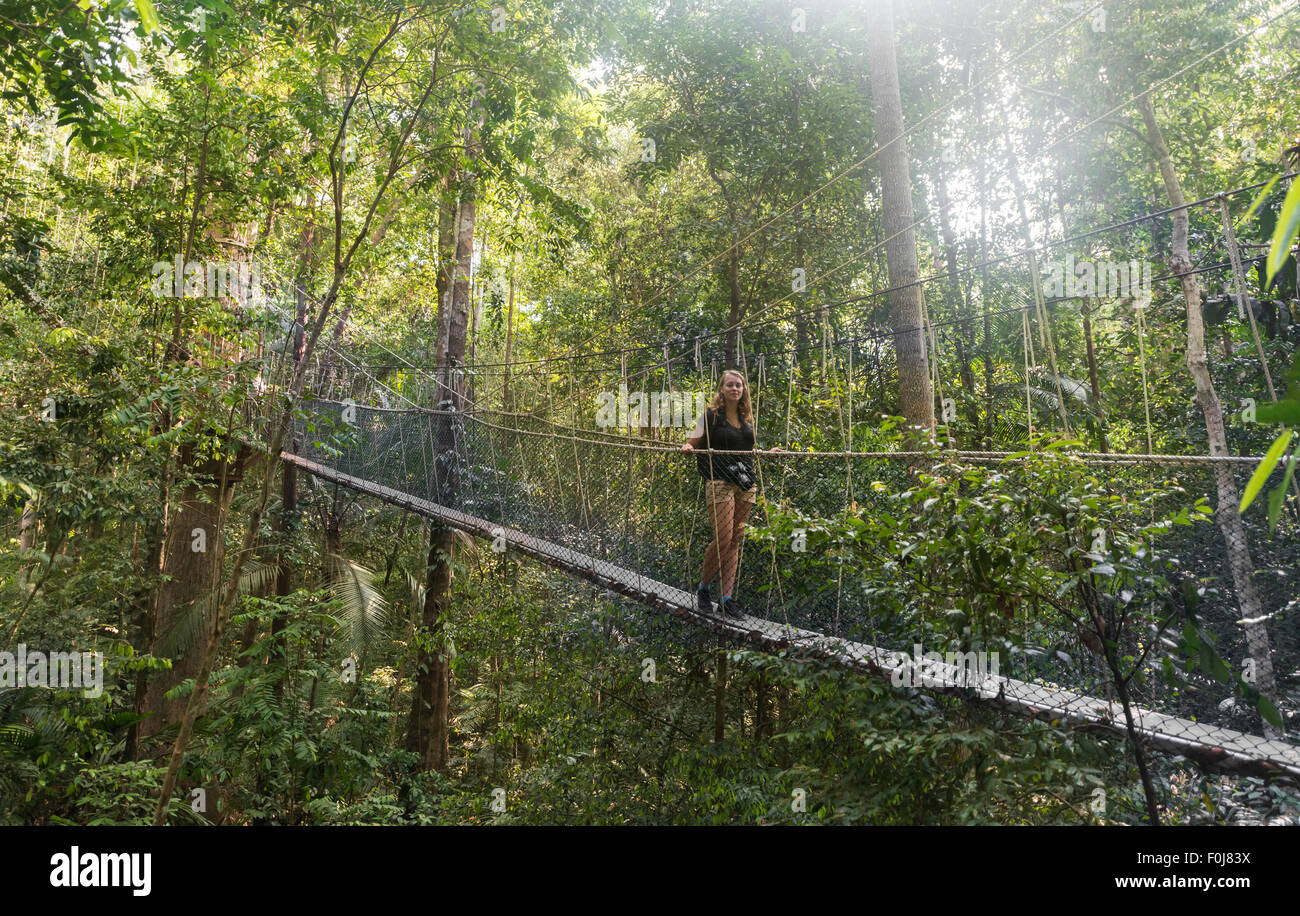 Tourist, donna sul ponte di sospensione nella giungla, Kuala Tahan, Taman Negara National Park, Malaysia Foto Stock