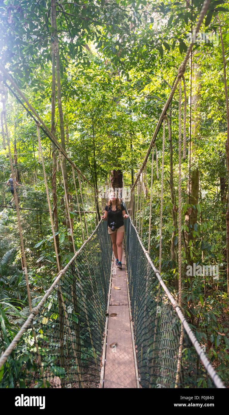 Tourist, donna sul ponte di sospensione nella giungla, Kuala Tahan, Taman Negara National Park, Malaysia Foto Stock