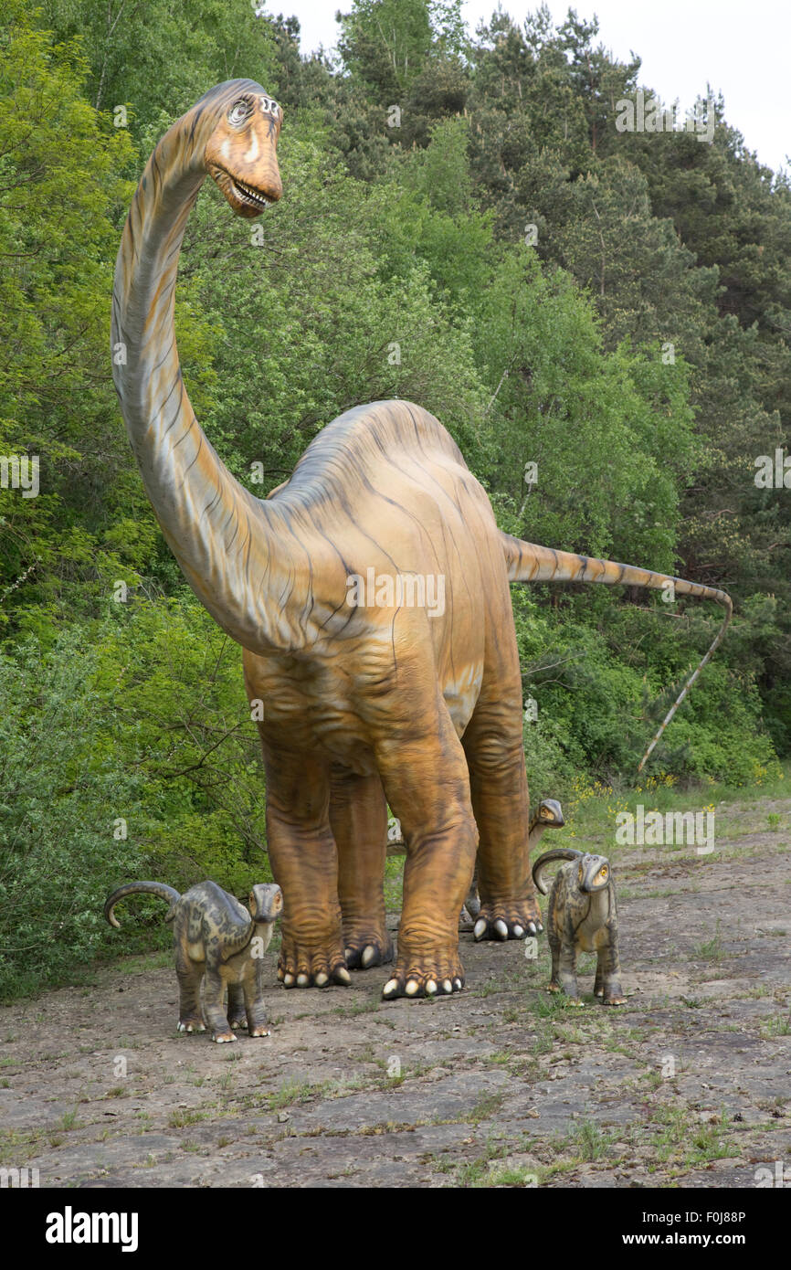 Diplodocus un grande erbivoro estinto sauropod dinosauro del giurassico Dinosaurier Park Germania Foto Stock