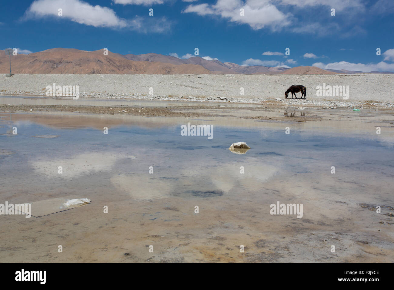 Il blu e il cielo nuvoloso con la riflessione sulle montagne e un cavallo di spreco di acqua in Tibet. La Friendship Highway. Cina 2013 Foto Stock