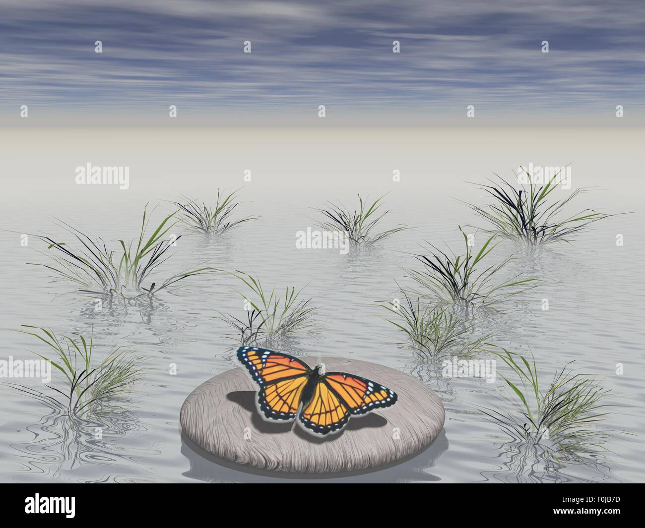 Farfalla posata su una pietra circondato con acqua Foto Stock