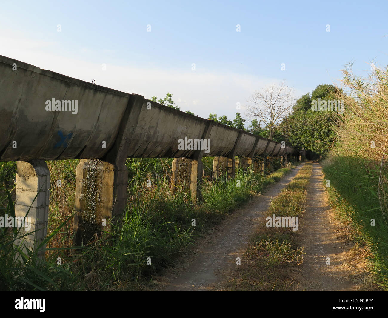 Elevata canale di irrigazione nelle zone rurali Alora campagna, Andalusia Foto Stock