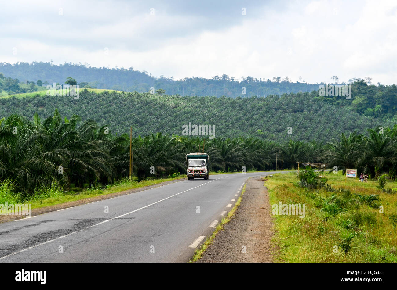 Carrello su una strada che attraversa in un Palm tree plantation vicino monte Camerun Foto Stock