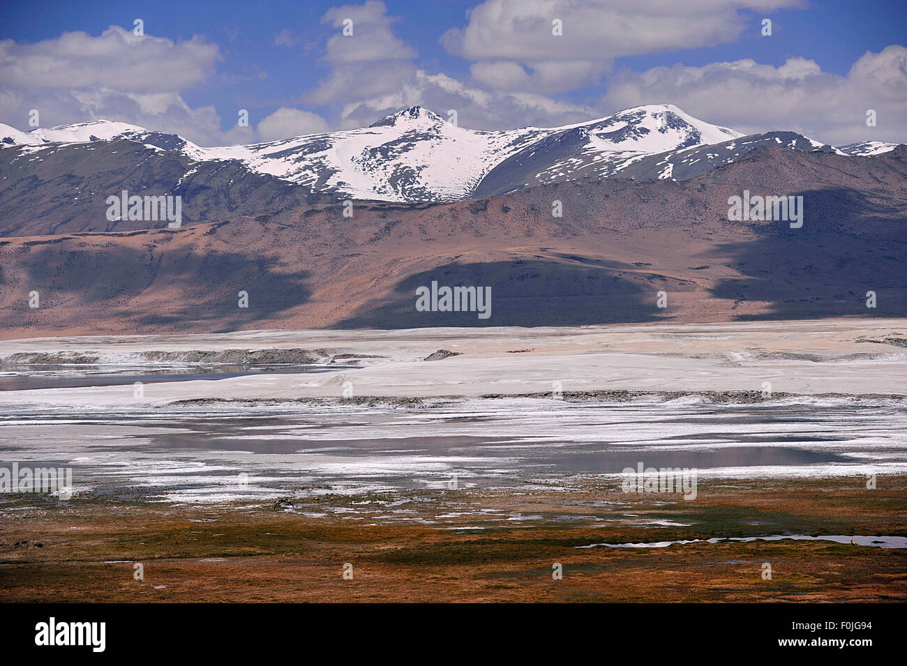 India Jammu Kashmir Ladakh Tso Kar salt lake Foto Stock