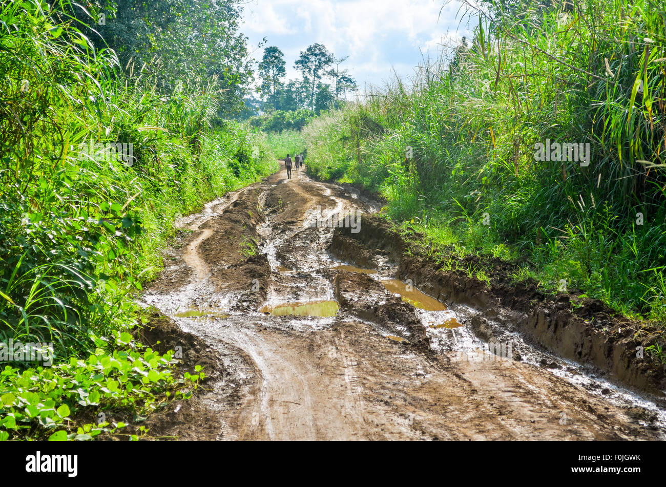 Strade sterrate del Camerun dopo la pioggia Foto Stock