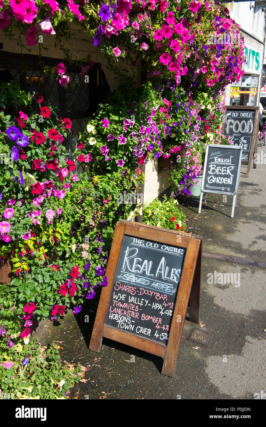 Un array di cestelli appesi al di fuori del vecchio castello pub di Bridgnorth, Shropshire, Regno Unito. Foto Stock
