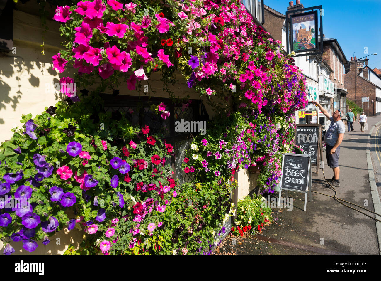 Il locatore Bryn Masterman acque nei cestini appesi al di fuori del vecchio castello pub di Bridgnorth, Shropshire, Regno Unito. Foto Stock