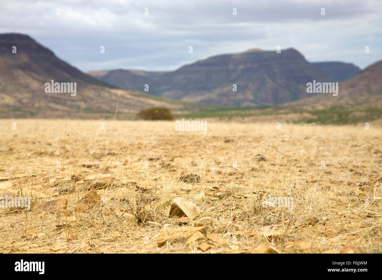 Kaokoland deserto in Namibia Foto Stock