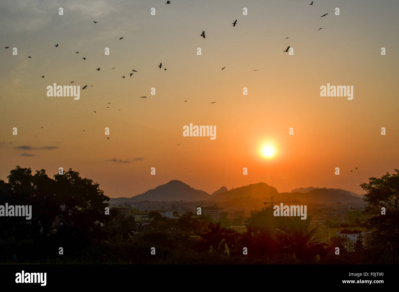Tramonto e uccelli sorvolano Yaoundé, capitale del Camerun Foto Stock