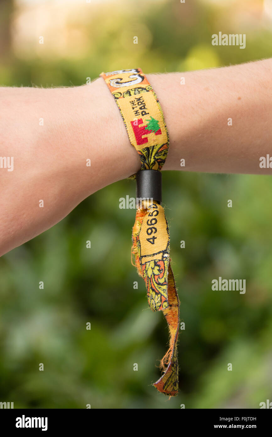 T nel Parco festival fascia da polso 2015 - Scottish Music Festival Foto Stock