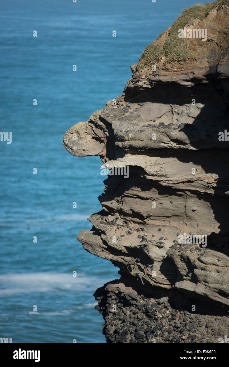 Una roccia di fronte al punto di pendenza, Catlins, South Island, in Nuova Zelanda. Foto Stock