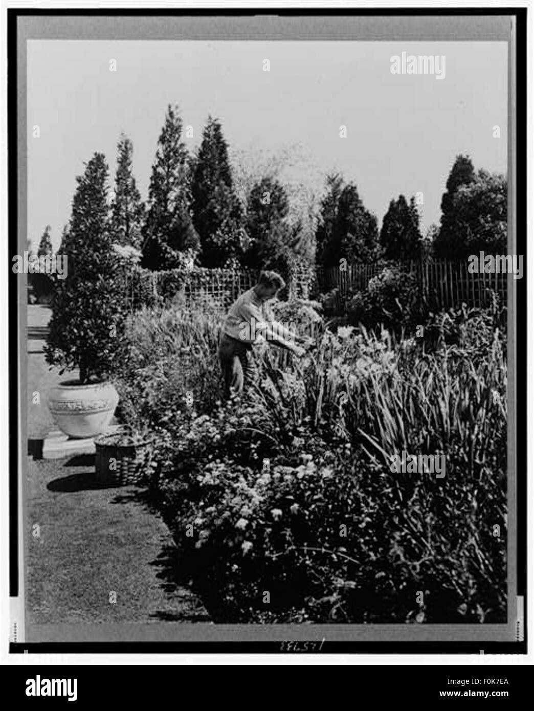 Giardiniere tende floreali, di confine poste per illustrare Rudyard  Kipling's Foto stock - Alamy