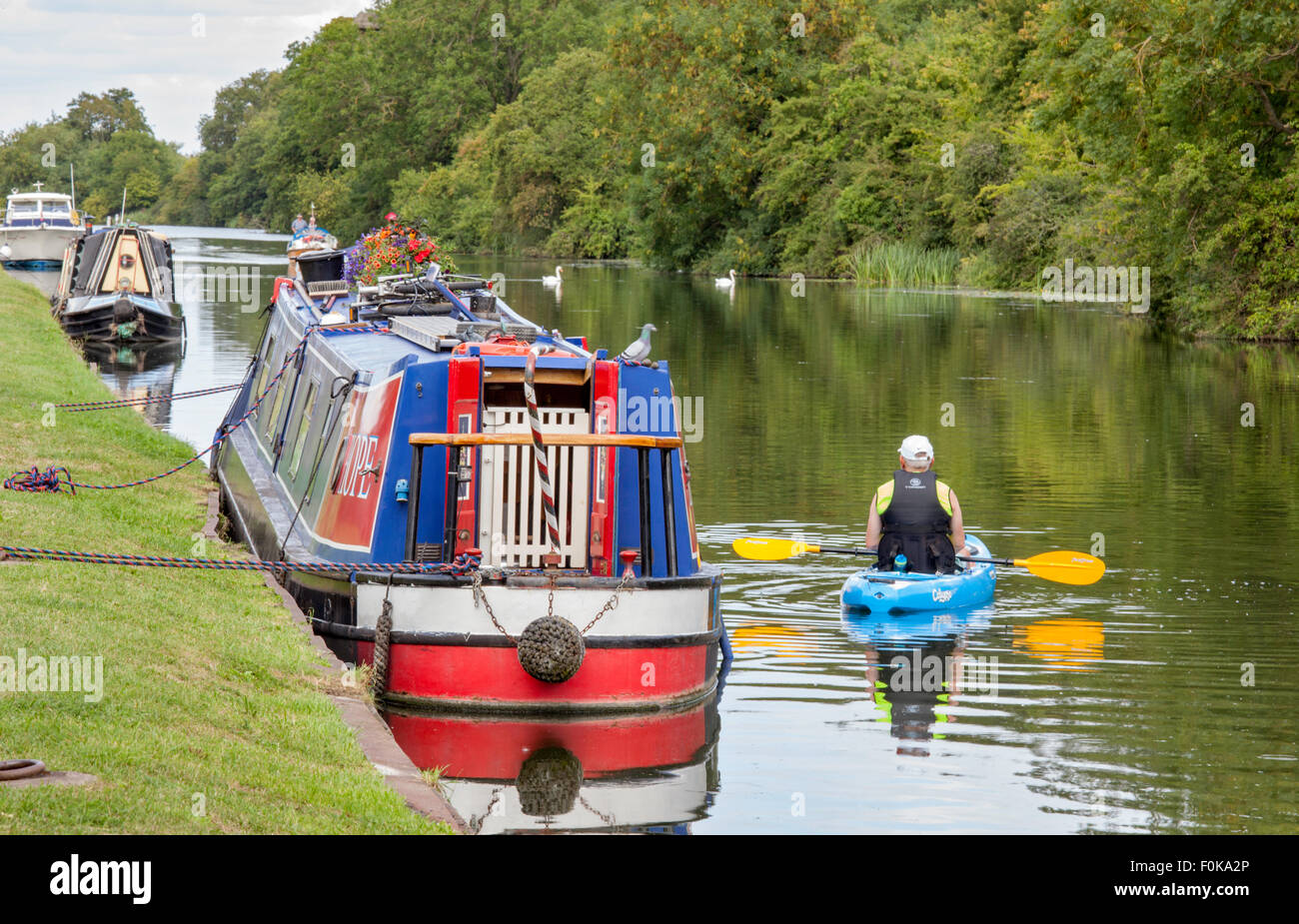 Il Gloucester e Nitidezza Canal vicino a nitidezza, Gloucestershire, England, Regno Unito Foto Stock