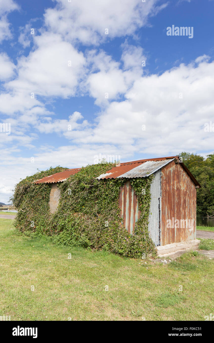 Vecchio arrugginito capannone ondulato, England, Regno Unito Foto Stock