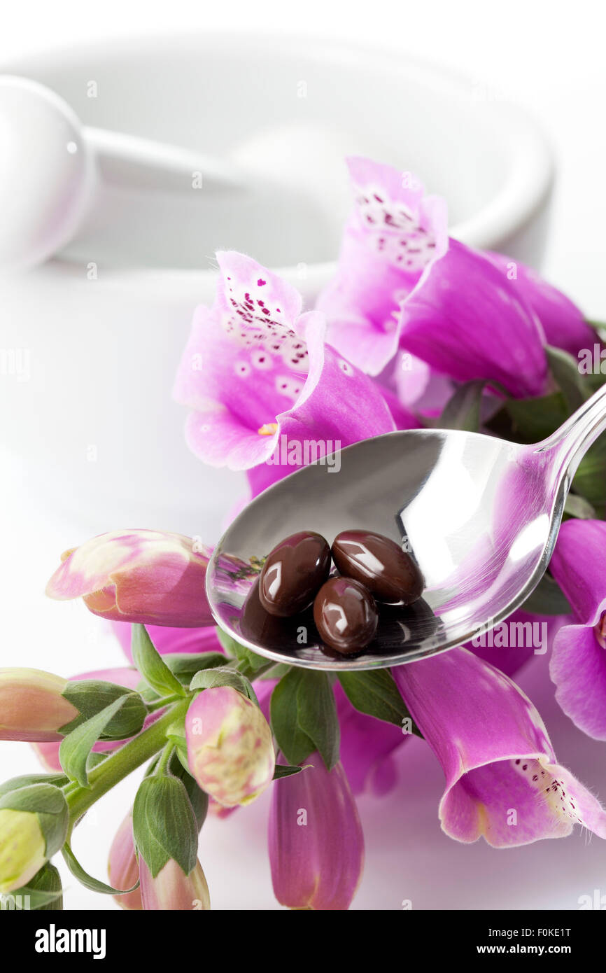 Foxglove, Digitalis purpurea, impianto medico, cucchiaio con capsule Foto Stock
