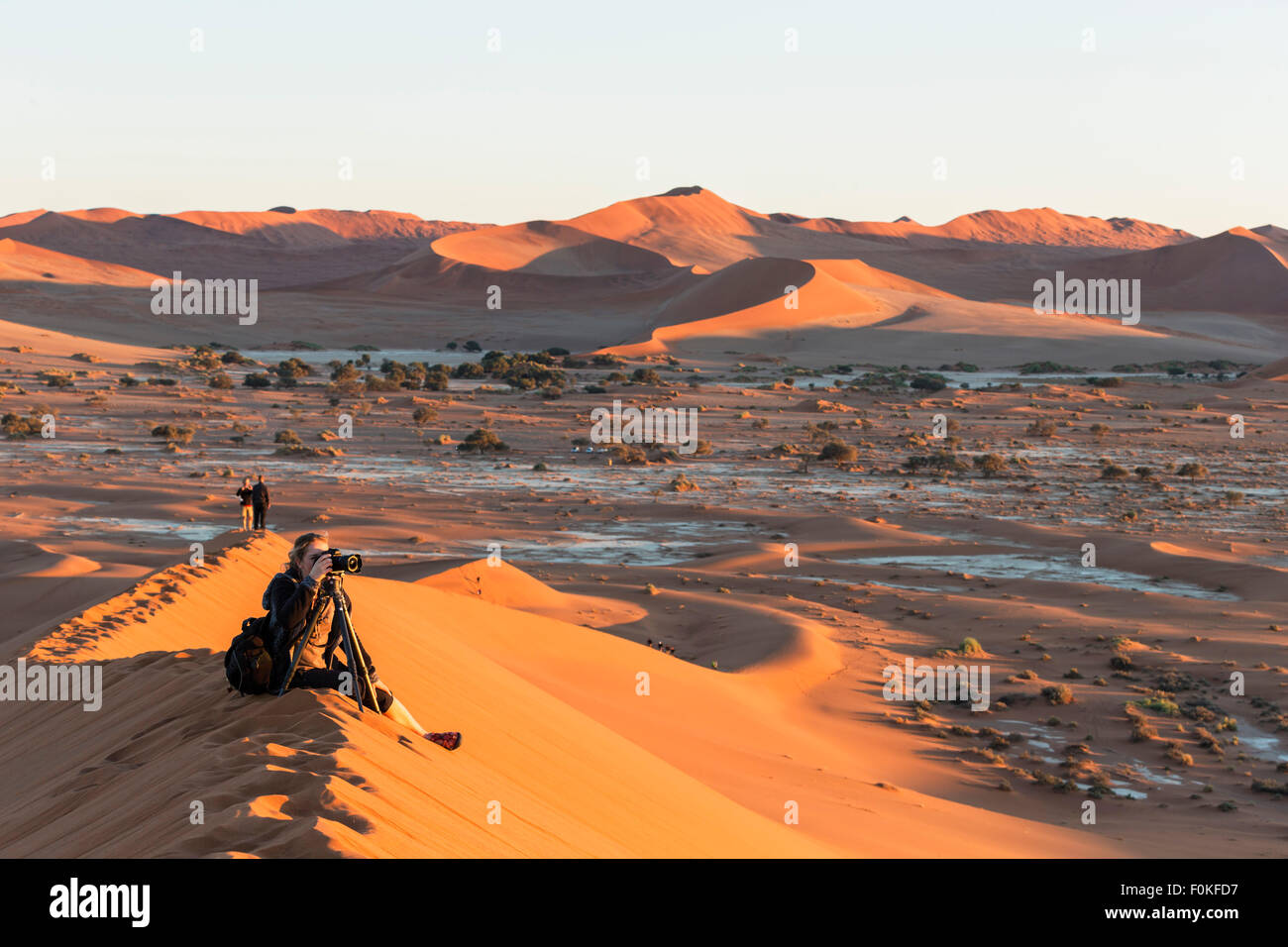 La Namibia, Namib Desert, Namib Naukluft National Park, turistico a fotografare il paesaggio Foto Stock