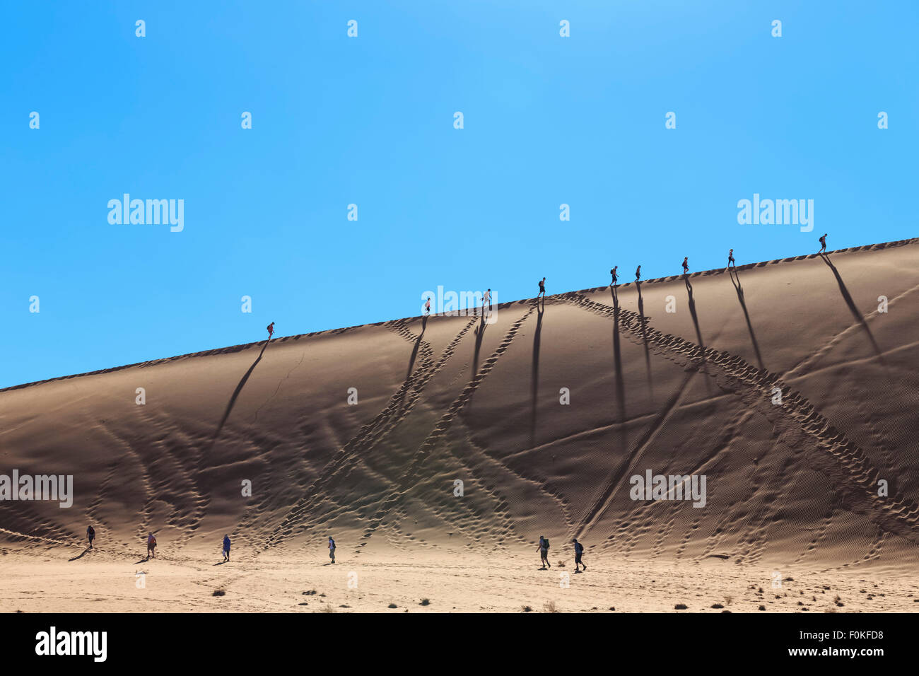 La Namibia, Namib Desert, Namib Naukluft National Park, gruppo di tour a piedi sulle dune del deserto Foto Stock