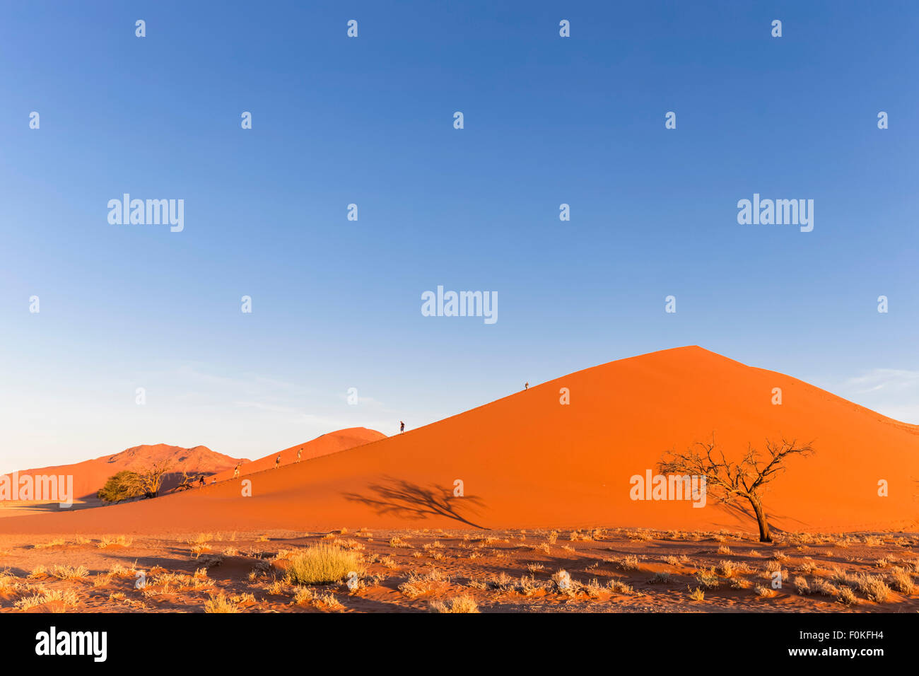 La Namibia, Namib Desert, Namib Naukluft National Park, i turisti a piedi sulle dune del deserto Foto Stock