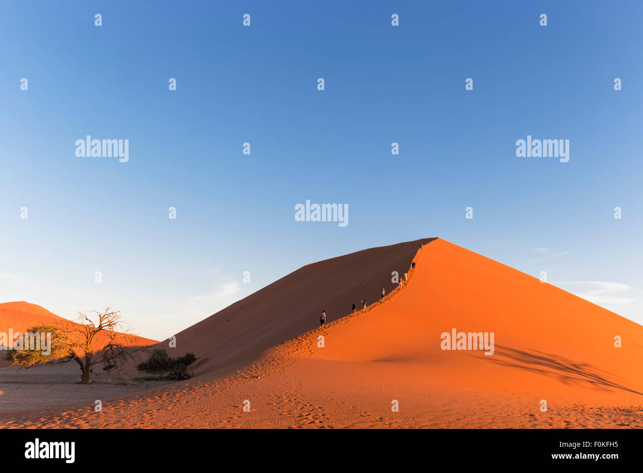 La Namibia, Namib Desert, Namib Naukluft National Park, gruppo di tour a piedi fino a desert dune Foto Stock