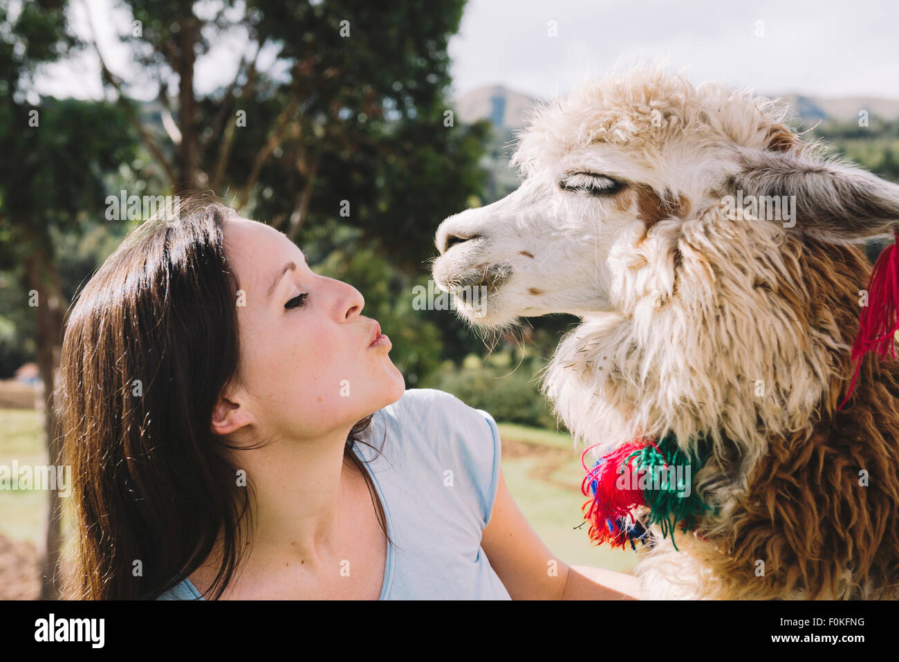 Perù Cusco, giovane donna faccia a faccia per un alpaca Foto Stock