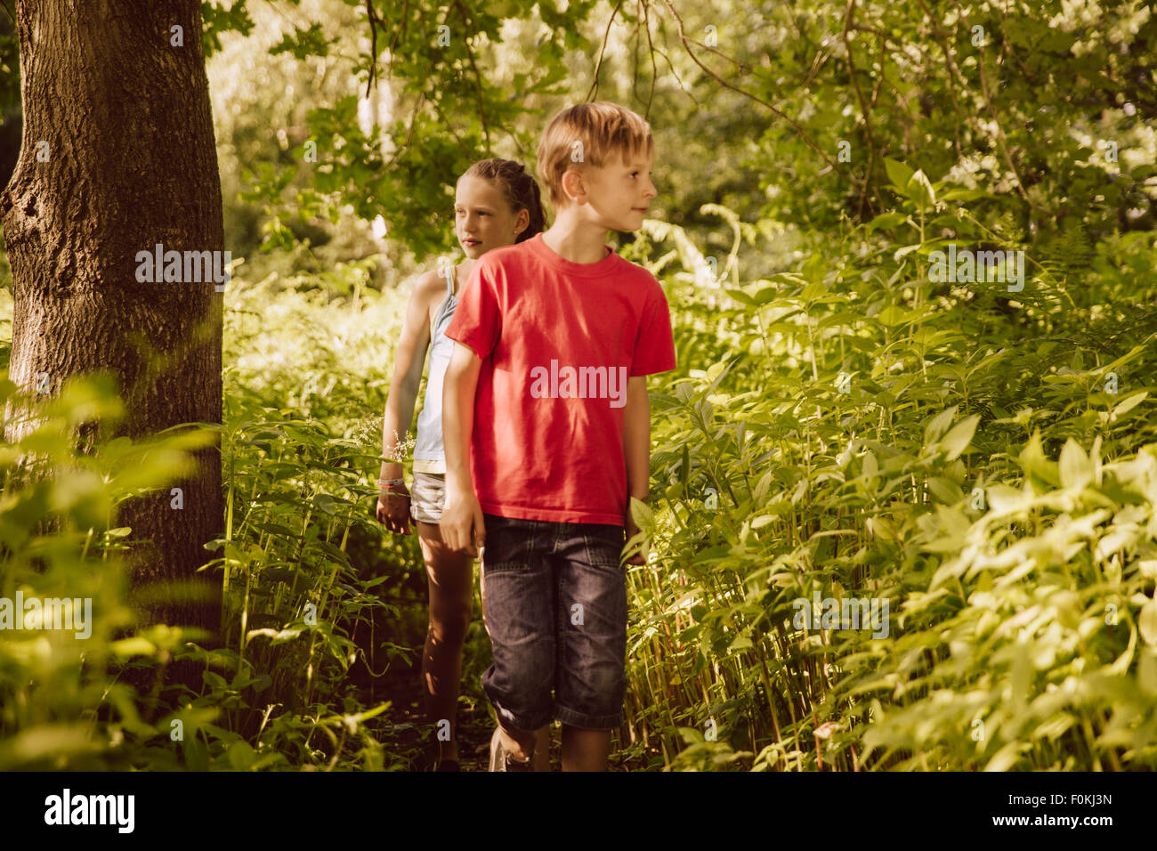 Due bambini a piedi attraverso Himalayan balsamo in una foresta Foto Stock