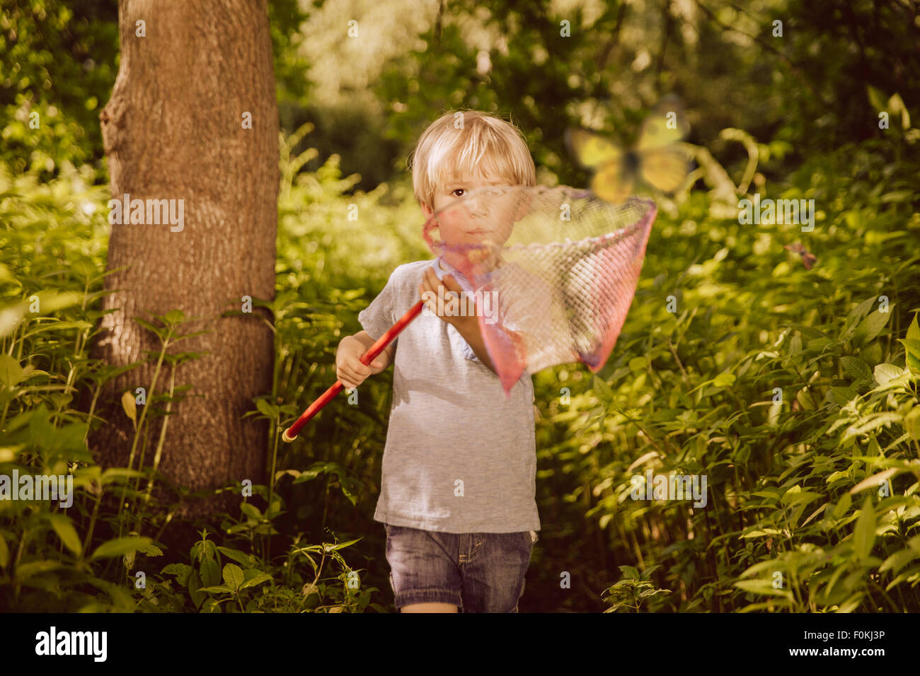 Little Boy cattura le farfalle in una foresta Foto Stock