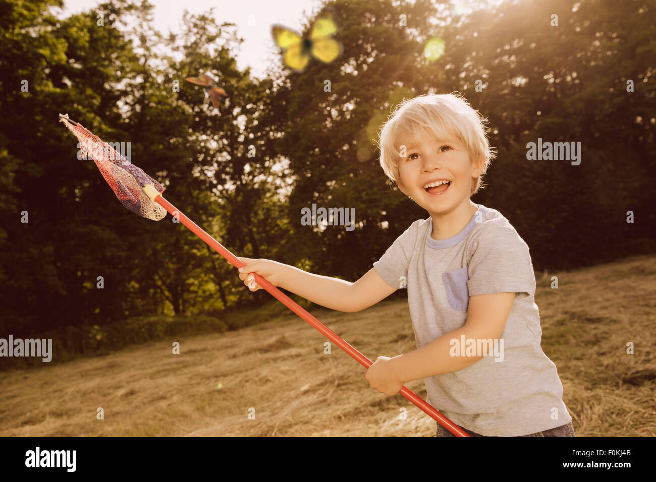 Little Boy cattura le farfalle in un campo Foto Stock